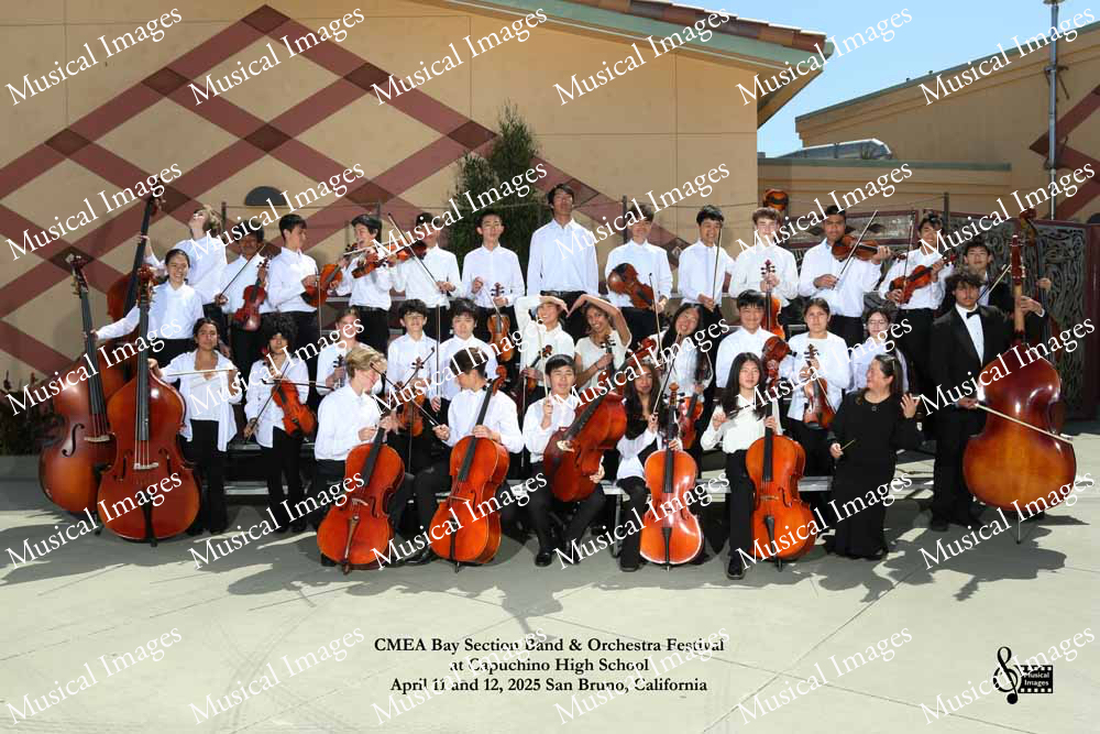 Musical Images
